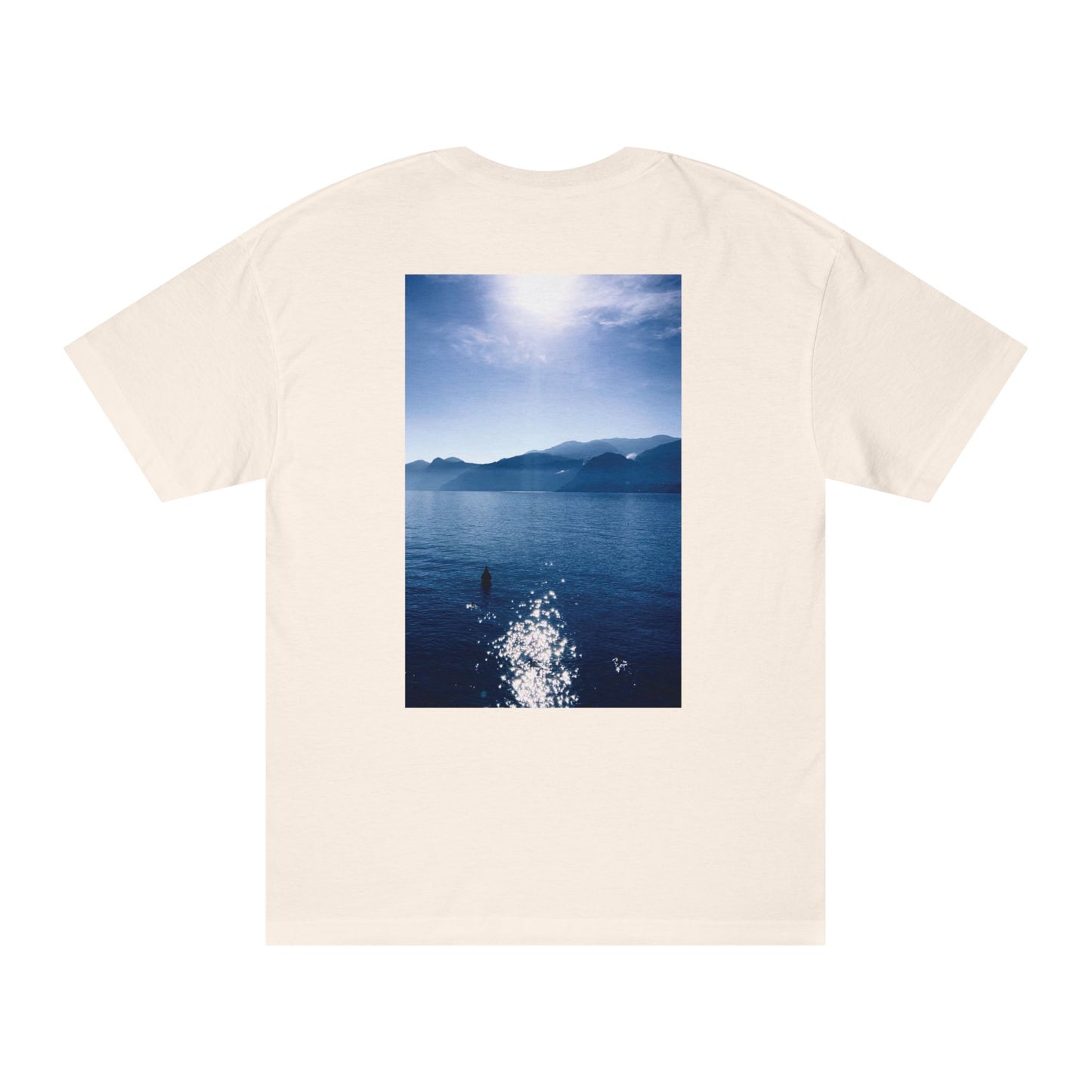 Water - SASSER