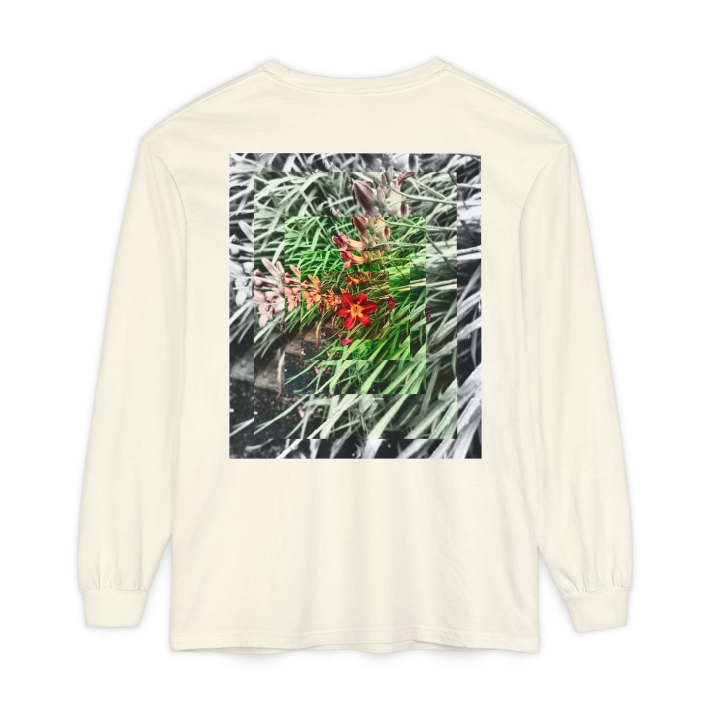 Nature - SASSER