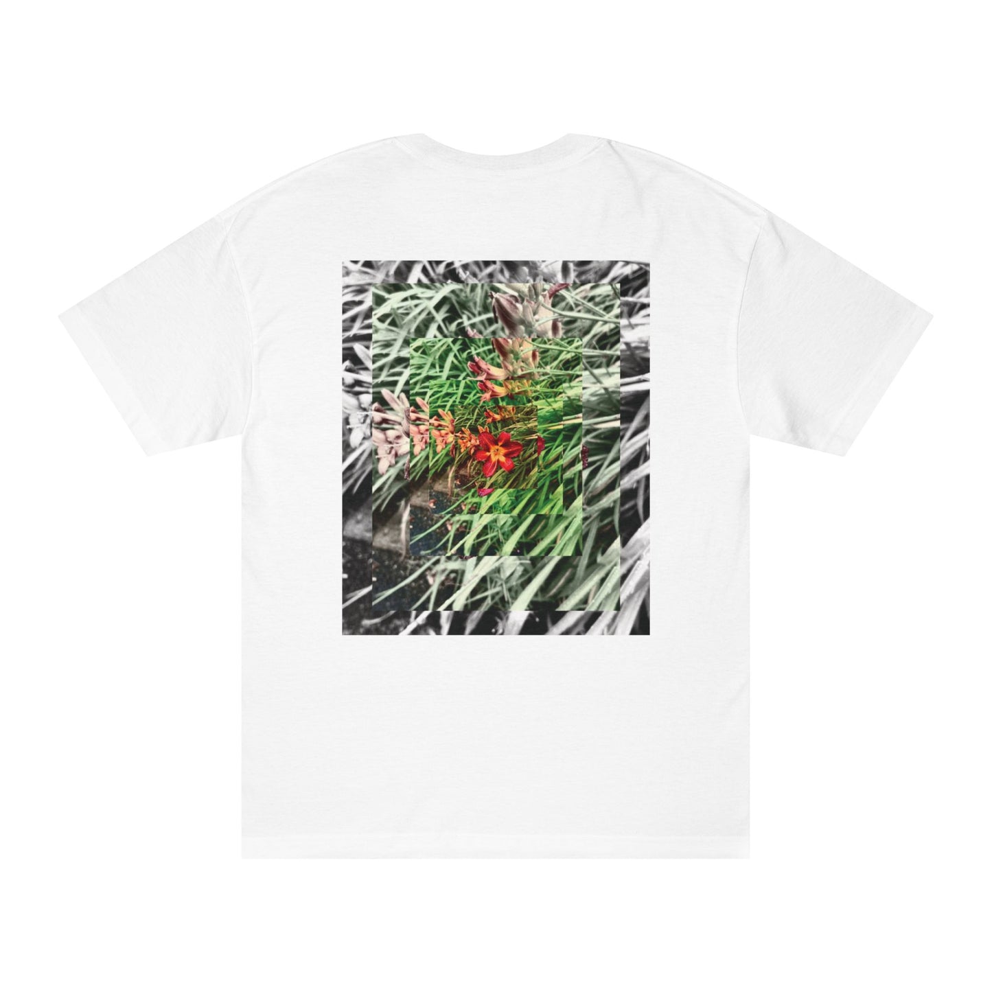 NATURE - SASSER