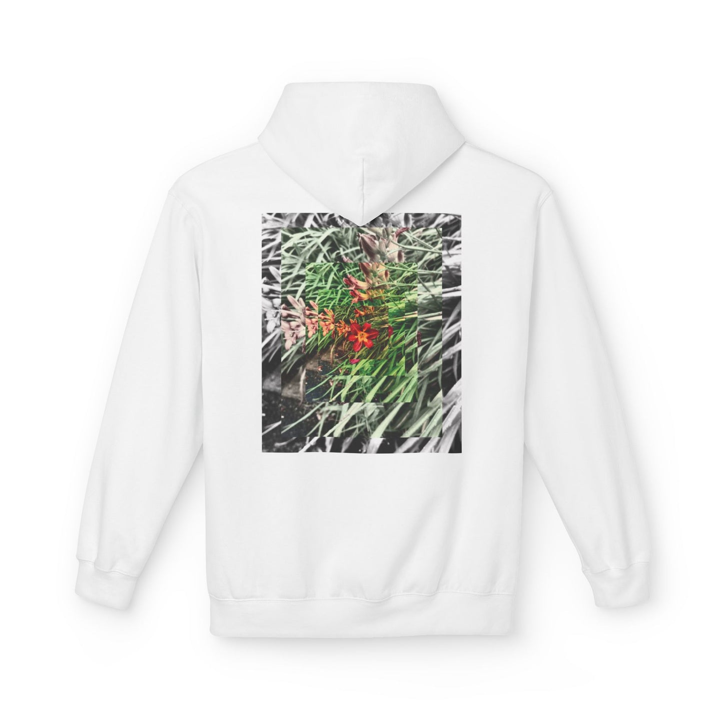 NATURE - SASSER