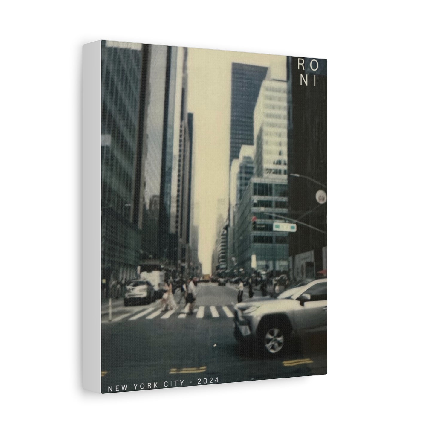 NYC 2024 - RONI