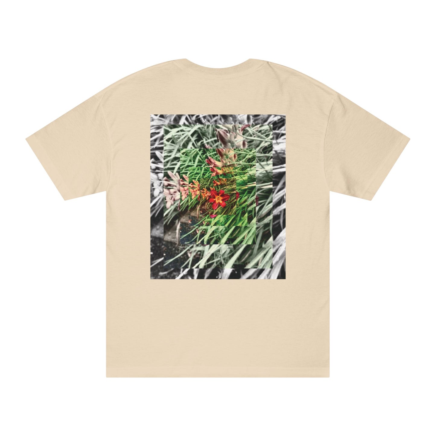 NATURE - SASSER