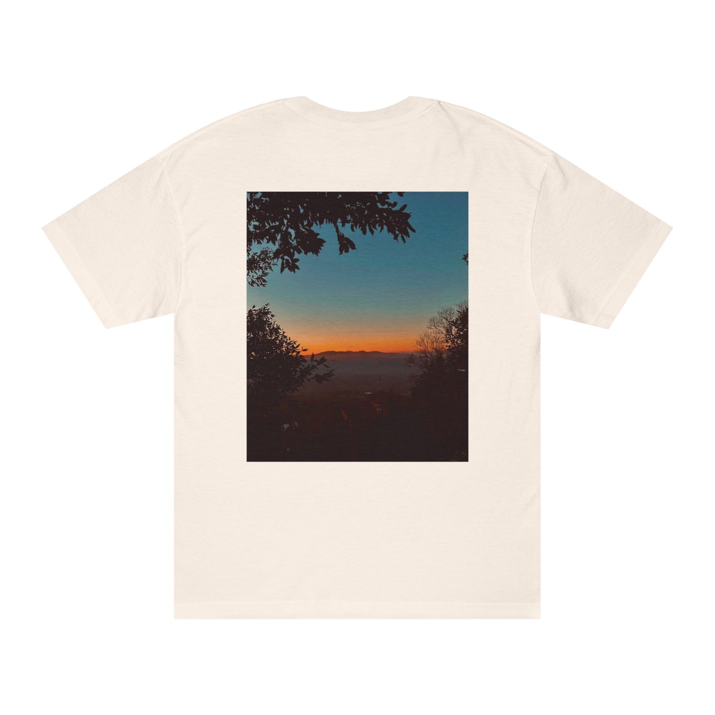 Sunset - SASSER