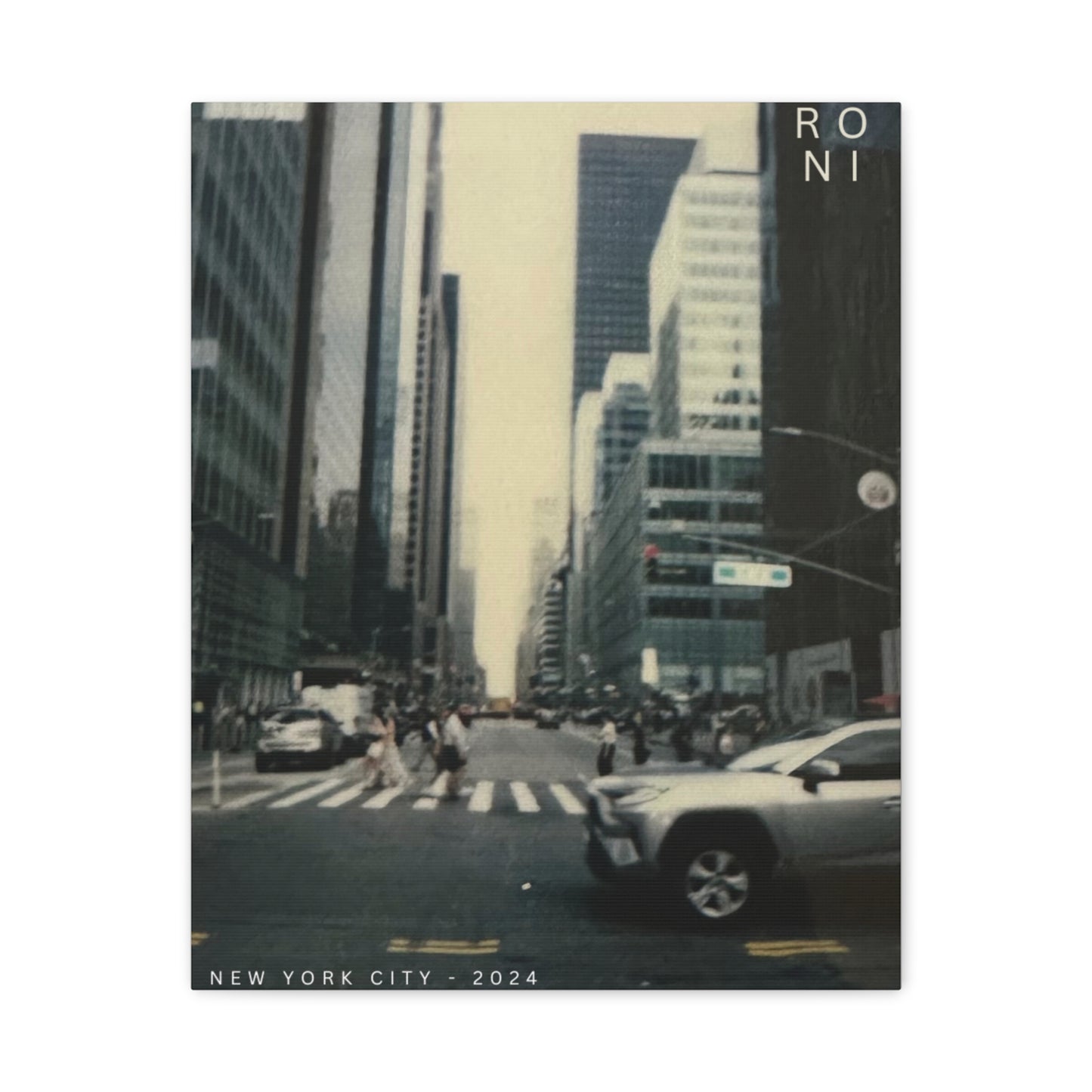 NYC 2024 - RONI