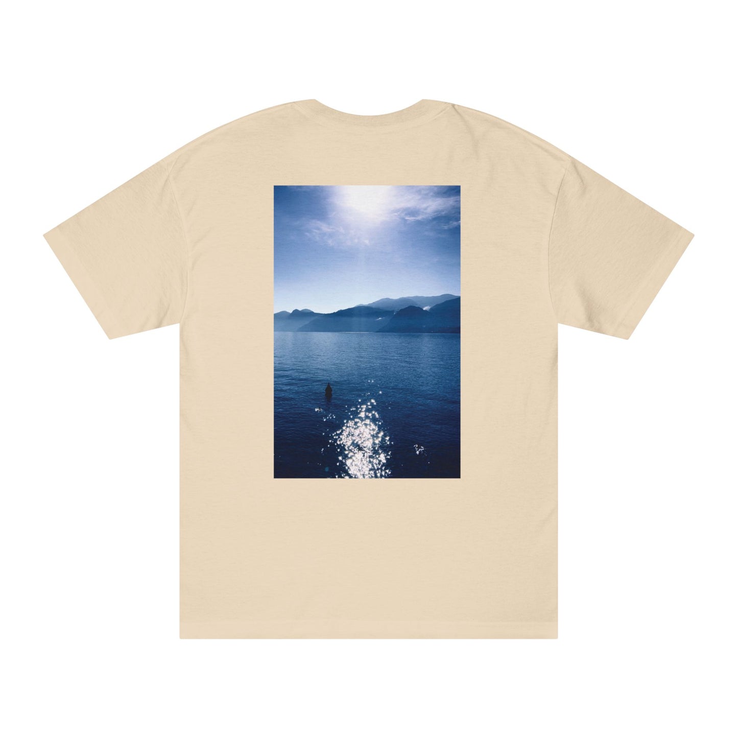 Water - SASSER