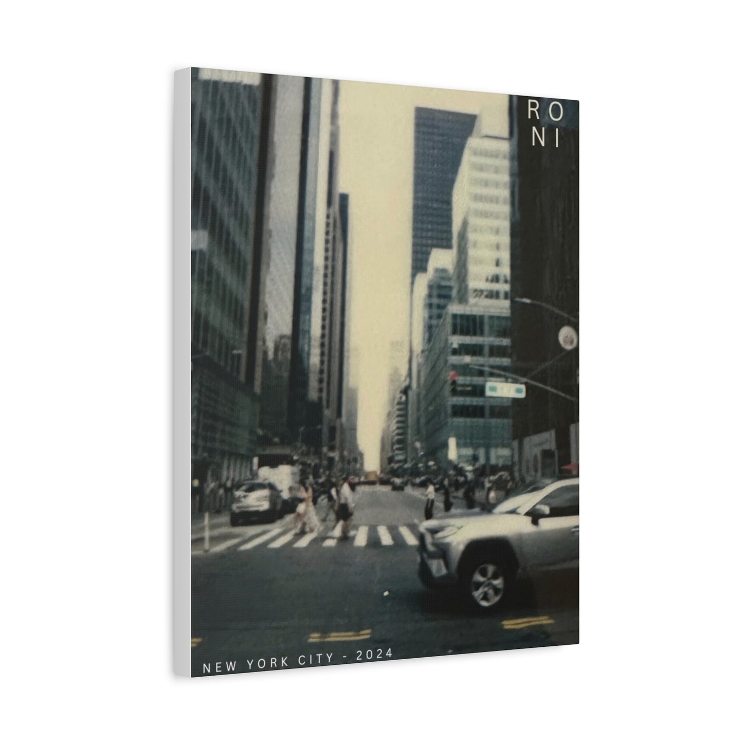 NYC 2024 - RONI