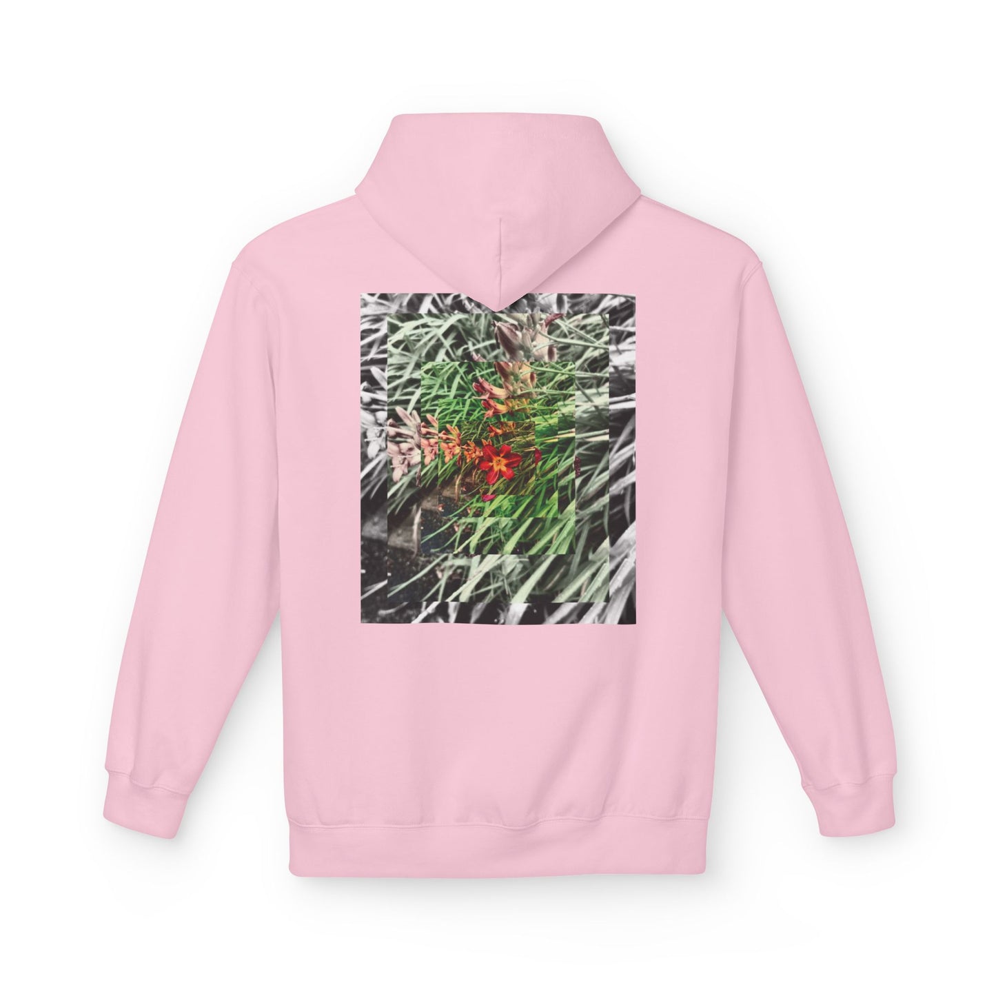 NATURE - SASSER