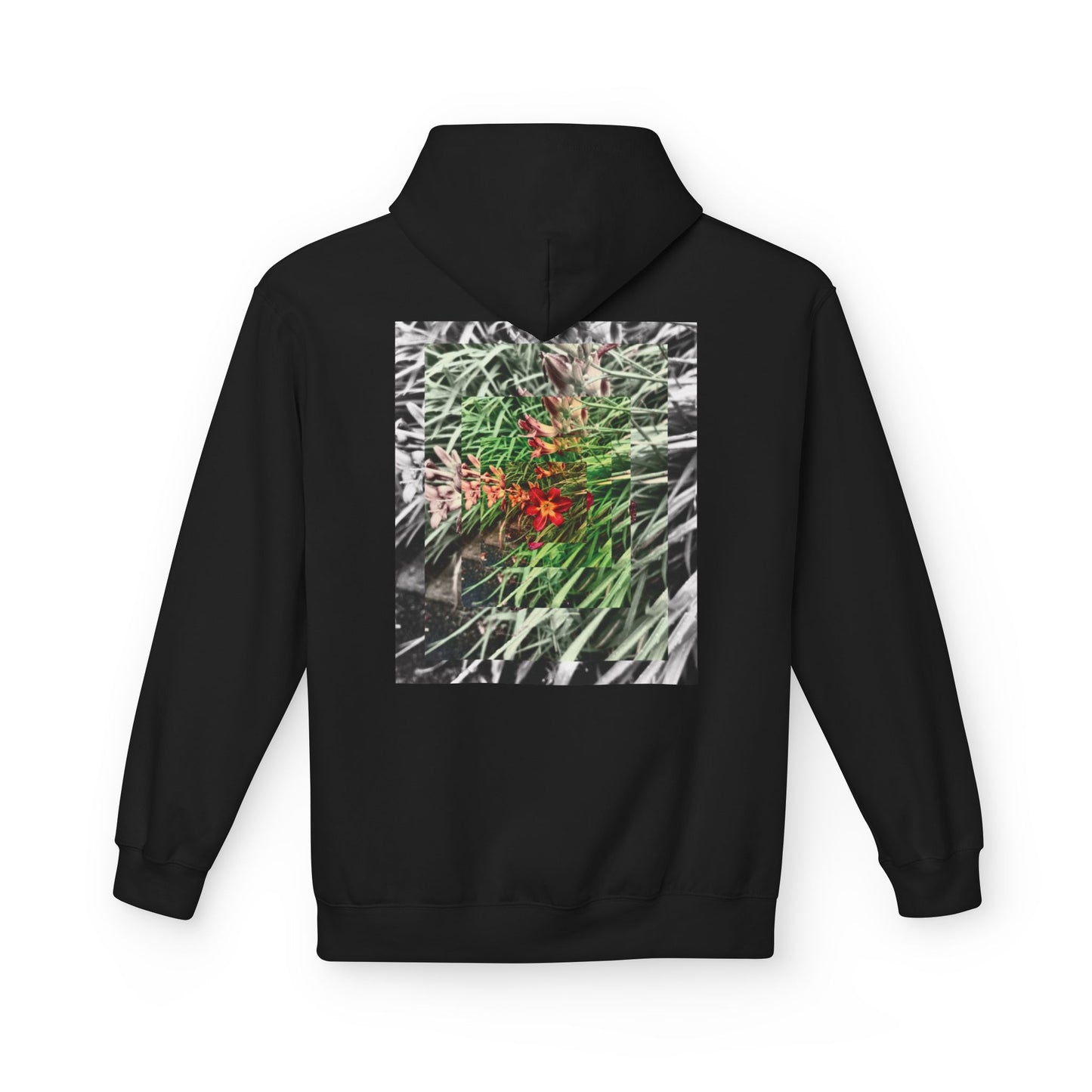 NATURE - SASSER
