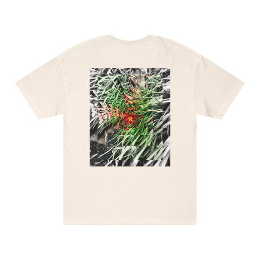 NATURE - SASSER