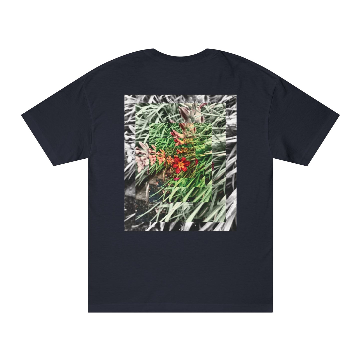 NATURE - SASSER