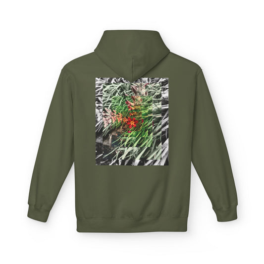 NATURE - SASSER